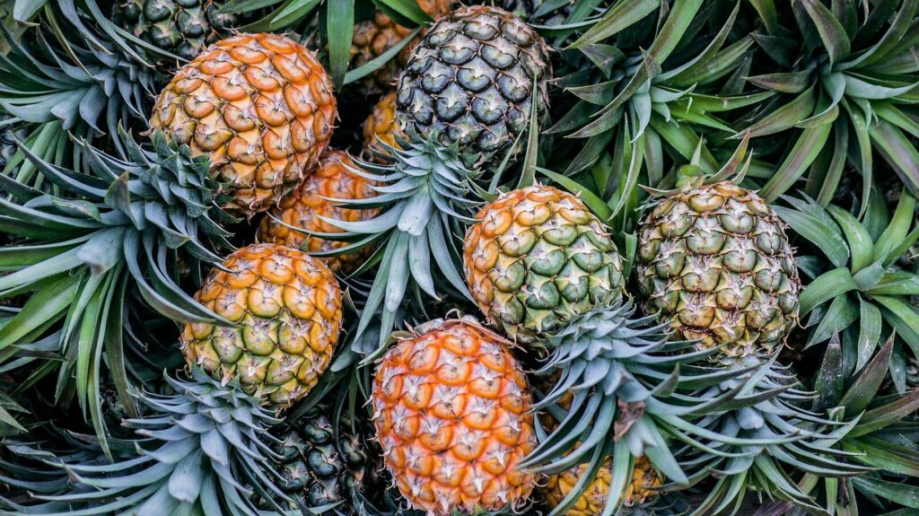 Pineapple in the swinger lifestyle